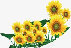 黄色卡通向日葵花朵植物装饰素材
