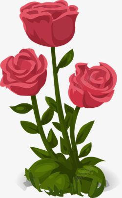 三朵红色的玫瑰花素材