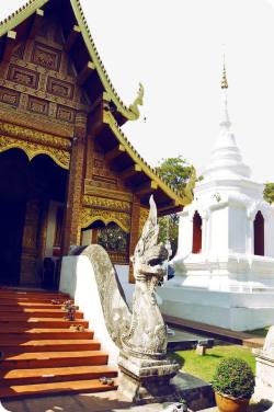 泰国清迈佛寺和白塔素材