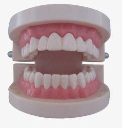 嘴巴假牙牙齿素材
