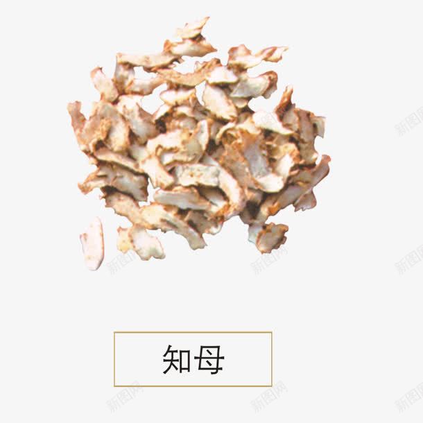 知母png免抠素材_88icon https://88icon.com 中药材 产品实物 入药 植物 药材