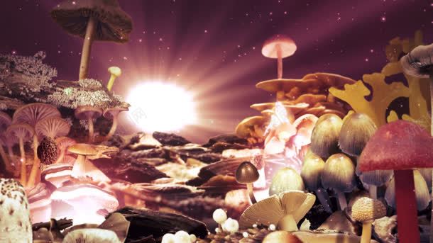 白色梦幻蘑菇林海报背景jpg设计背景_88icon https://88icon.com 梦幻 海报 白色 背景 蘑菇