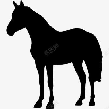 马方认为马站在黑色的形状图标图标