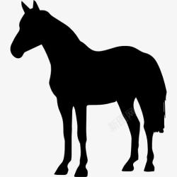 马方认为马站在黑色的形状图标高清图片