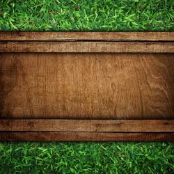 绿色木框草地背景木板边框图案高清图片
