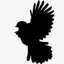puffedbird鸟的轮廓素材
