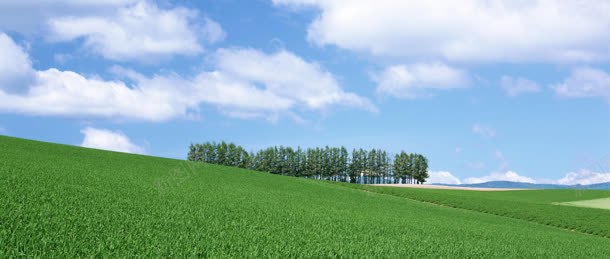唯美浪漫背景背景
