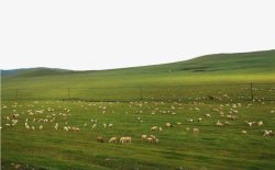 内蒙古呼伦贝尔草原景点素材