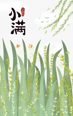 小满手绘植物元素海报