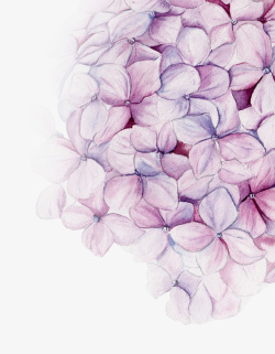 清新唯美手绘紫色花朵素材