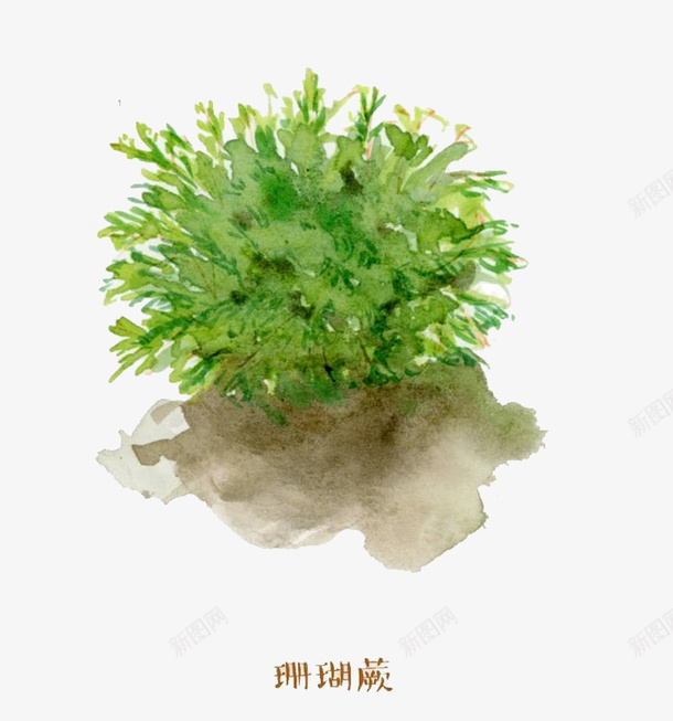 蕨菜图案png免抠素材_88icon https://88icon.com 一把 卡通 叶子 图案 简图 绿色的 蔬菜 蕨菜