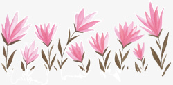 粉色的花簇矢量图素材