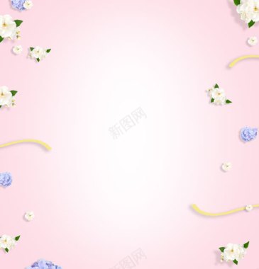 白色花朵粉色背景背景