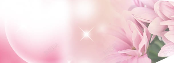 粉色花朵淘宝海报背景背景