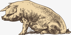 野猪手绘素描矢量图素材