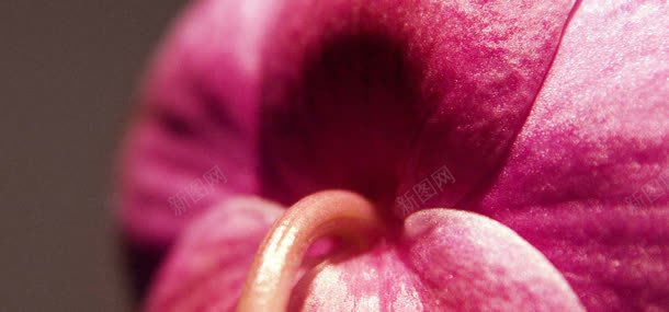 精品背景jpg设计背景_88icon https://88icon.com 精品 背景