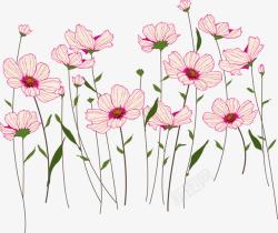 创意合成植物花卉花朵手绘素材