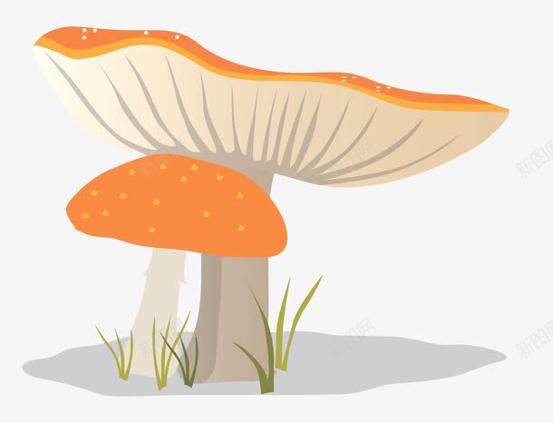 手绘黄色伞菇png免抠素材_88icon https://88icon.com 伞菇 手绘 素食食材 菌类 菌菇手绘 蘑菇 食材 黄色