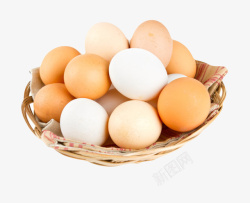 褐白色鸡蛋篮子里的初生蛋实物素材