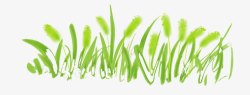 狗尾巴草素材