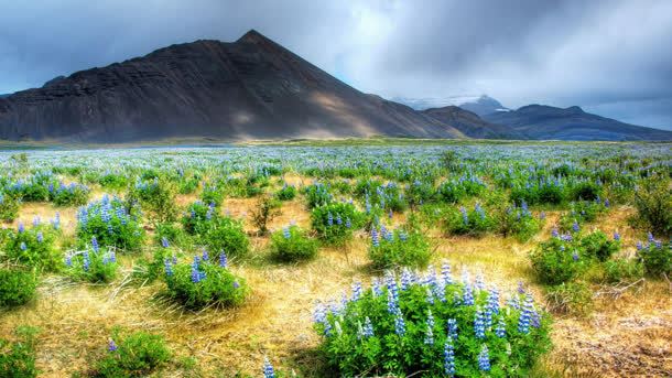 绿色草垛山丘美景jpg设计背景_88icon https://88icon.com 山丘 绿色 美景 草垛