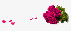 紫色玫瑰花束花瓣装饰图案素材