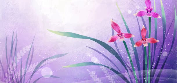 紫色浪漫水仙花背景背景