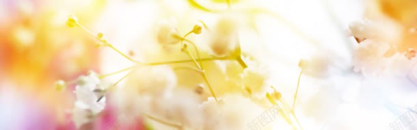 黄色花朵温暖背景bannerjpg设计背景_88icon https://88icon.com banner 温暖 背景 花朵 黄色