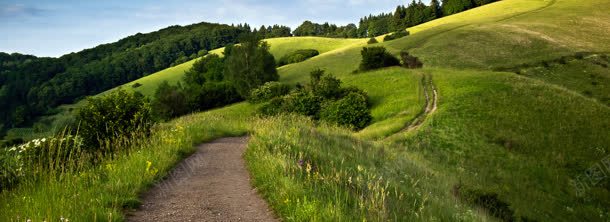 美丽的背景背景