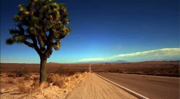 树木道路沿途风景背景