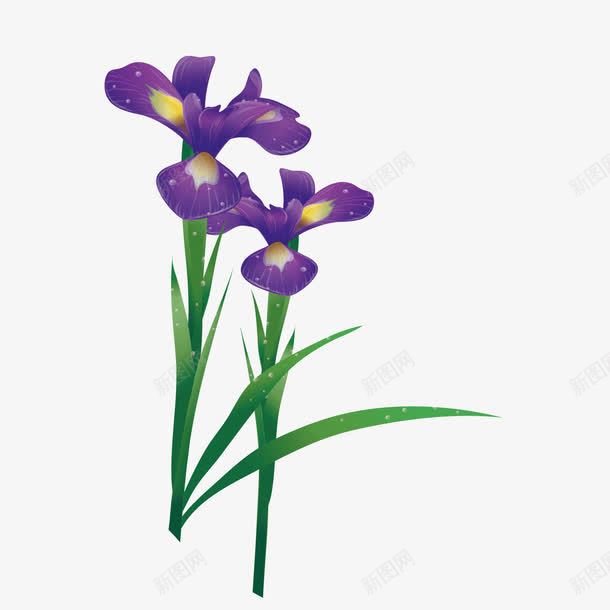两束花朵紫草png免抠素材_88icon https://88icon.com 两束 紫草 花朵