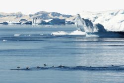 旅游景区南极著名南极冰川高清图片