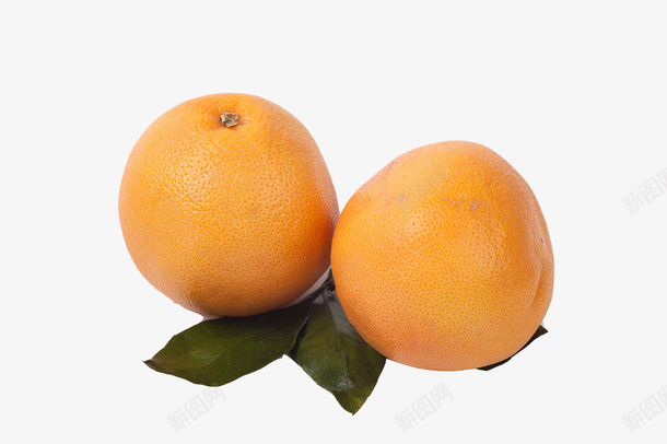 新鲜甜橙矢量图eps免抠素材_88icon https://88icon.com 产品实物 新鲜蔬果 水果 甜橙矢量 矢量图