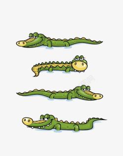 绿色小鳄鱼鳄鱼高清图片