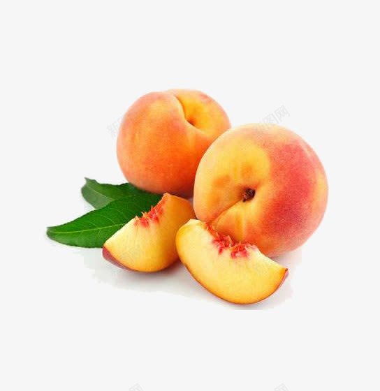 红色的杏子png免抠素材_88icon https://88icon.com 杏子 果实 水果 红杏
