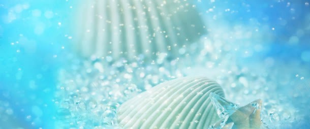 花卉梦幻浪漫爱情清新jpg设计背景_88icon https://88icon.com 梦幻 浪漫 清新 爱情 花卉