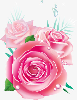 精美唯美玫瑰花花朵矢量图素材