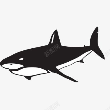 手绘卡通鲨鱼图标图标