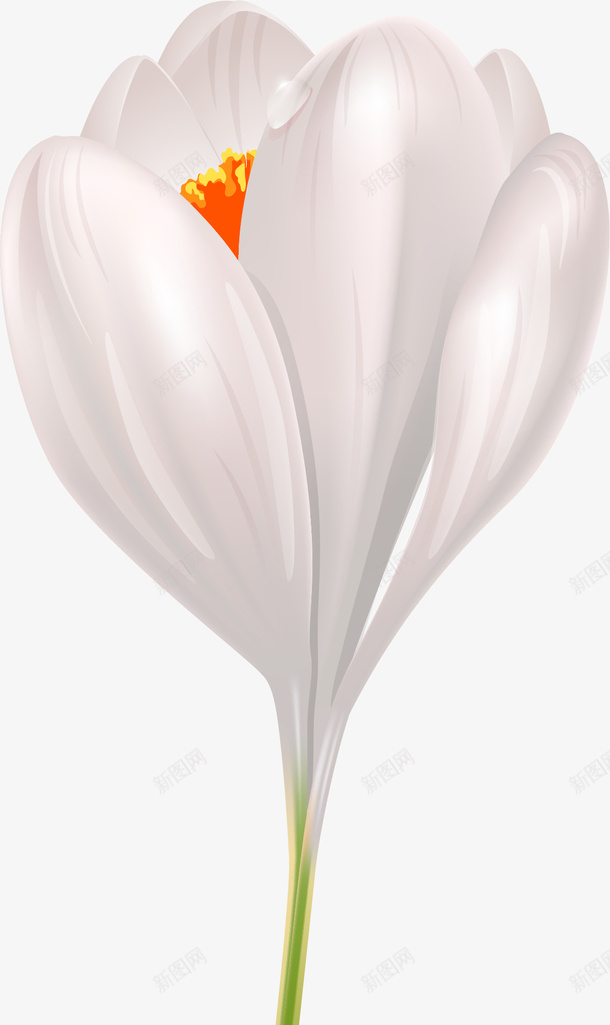 手绘白色花朵花瓣png免抠素材_88icon https://88icon.com 唯美 小清新 手绘花朵 白色花朵 白色花瓣 质感