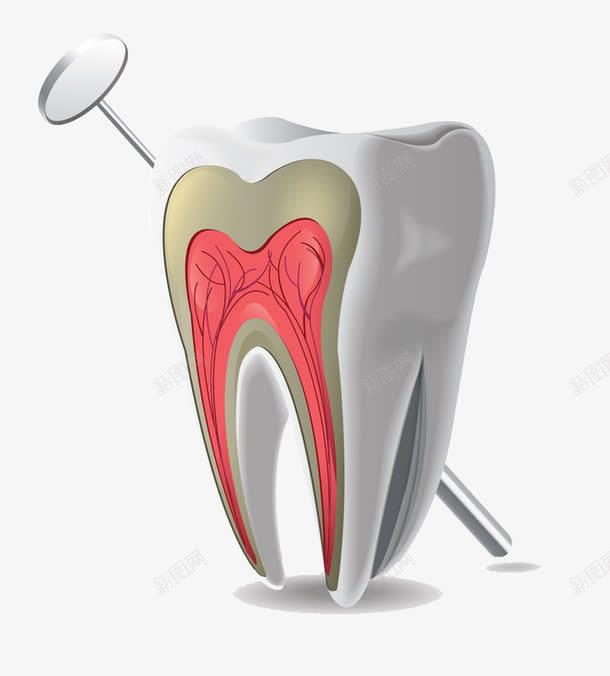牙齿png免抠素材_88icon https://88icon.com 牙医 牙膏 牙齿问题 美白牙齿