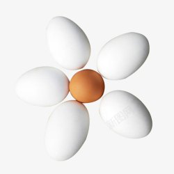鹅蛋和鸡蛋素材