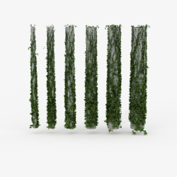 绿色柱子柱子鲜草绿色垂吊植物高清图片