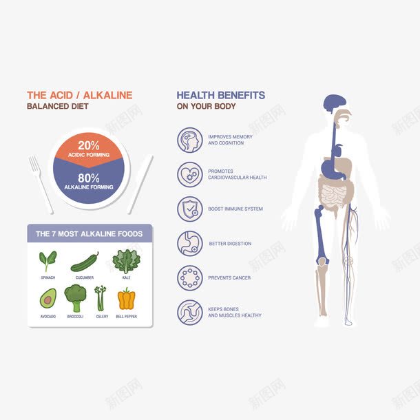 健康饮食分析图表png免抠素材_88icon https://88icon.com 人体 扁平化信息图表 手绘 水果 蔬菜