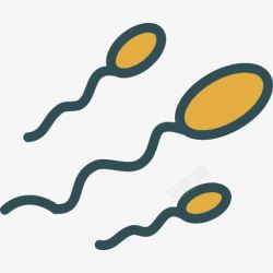 妊娠Sperm图标高清图片