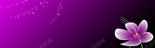 花朵梦幻星星粉紫色背景