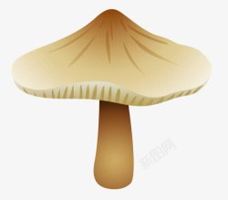 卡通蘑菇素材