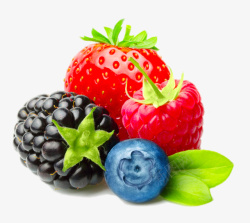 草莓和蓝莓素材