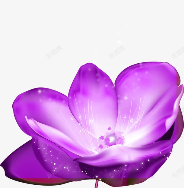 手绘紫色花朵梦幻png免抠素材_88icon https://88icon.com 梦幻 紫色 花朵