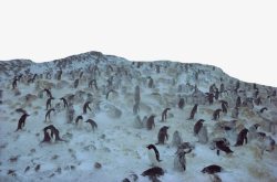 南极雪著名南极景点高清图片