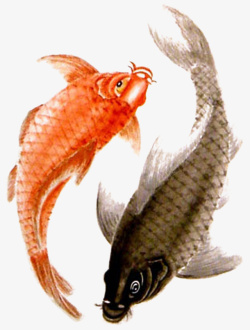 金鱼戏水手绘古典卡通中国风双鱼戏图标高清图片